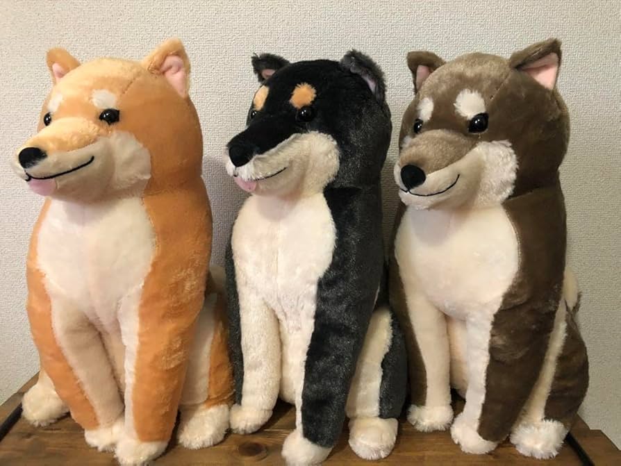 Amazon.co.jp: ほっこり柴犬 茶々ノ助 なごみ日和 BIGぬいぐるみ